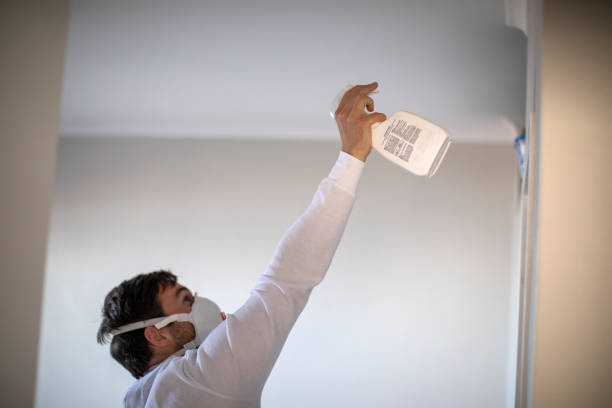 Best Commercial Mold Removal  in Reiffton, PA