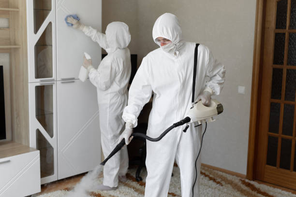 Best Mold Removal Specialists  in Reiffton, PA